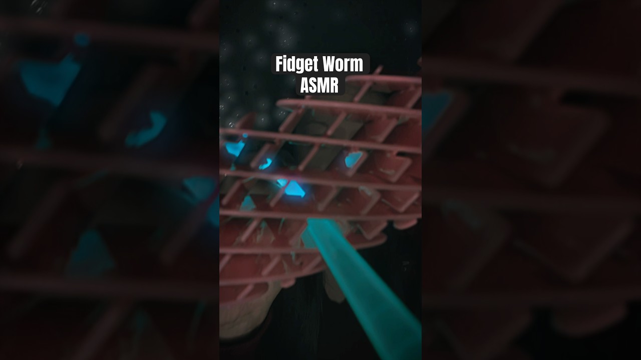 ASMR Echo Light Test ❇️ Flexi Fidget Worm