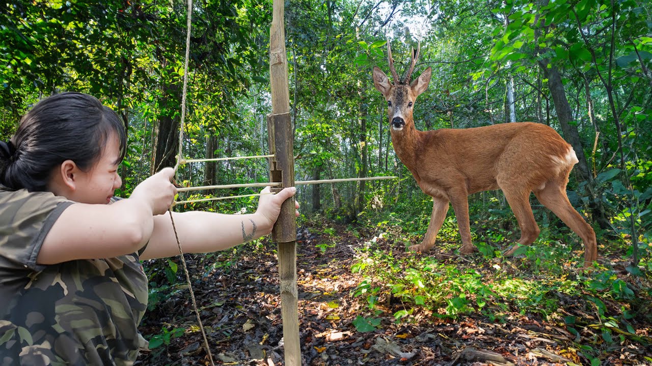 Blow the Whistle to Attract Deer - Lie Still and Ambush/ Restless Night, Venomous Snake Bites...