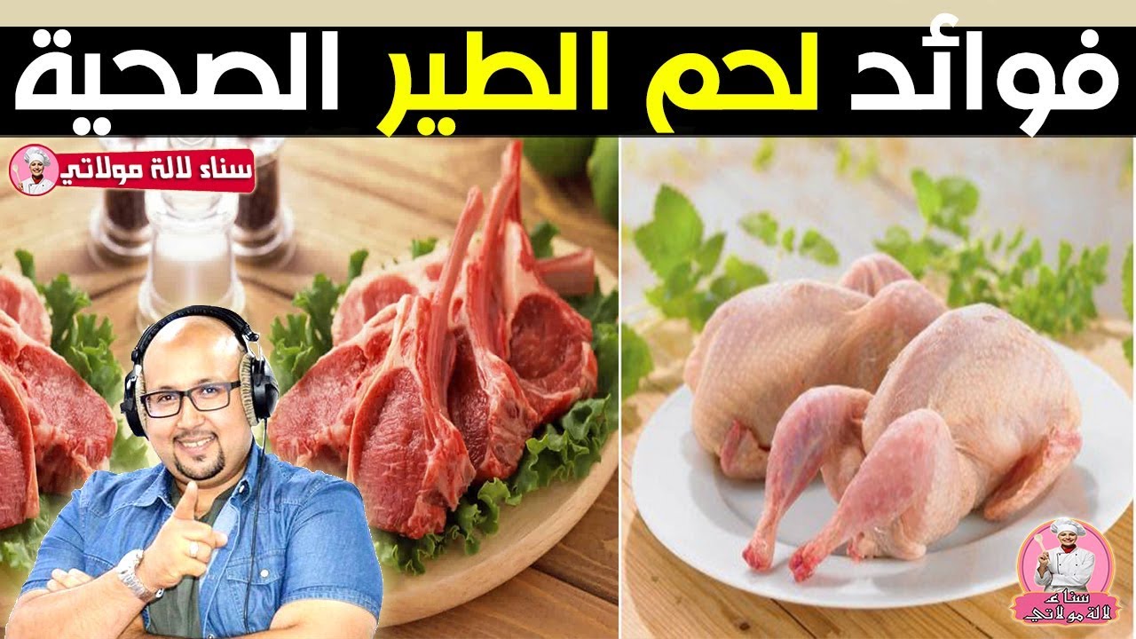 فوائد أكل لحم الطير للصحة والجسم وقيمته الغذائية - الدكتور عماد ميزاب Dr imad mizab