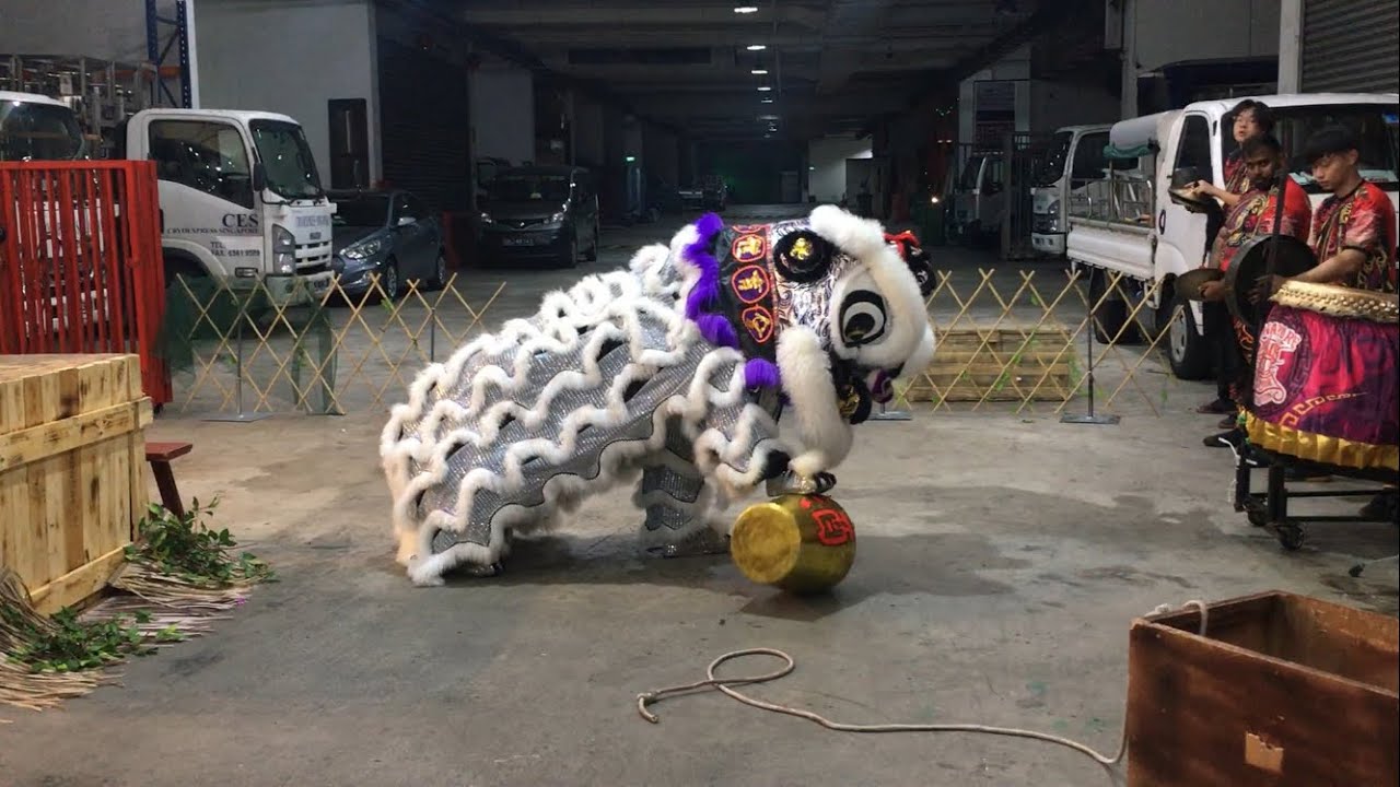 新加坡顺利壇體育會 SLT Association Lion Dance Traditional Performance at Ji Yun Tan 11 Dec 2023