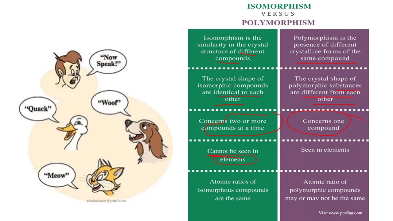 Part 2: Polymorphism Explained | Enantiotropic vs Monotropic