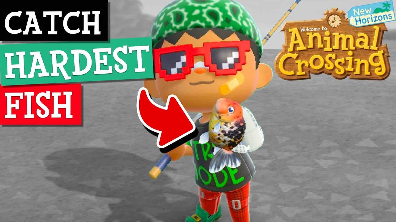 How to catch the elusive Ranchu Goldfish in ACNH