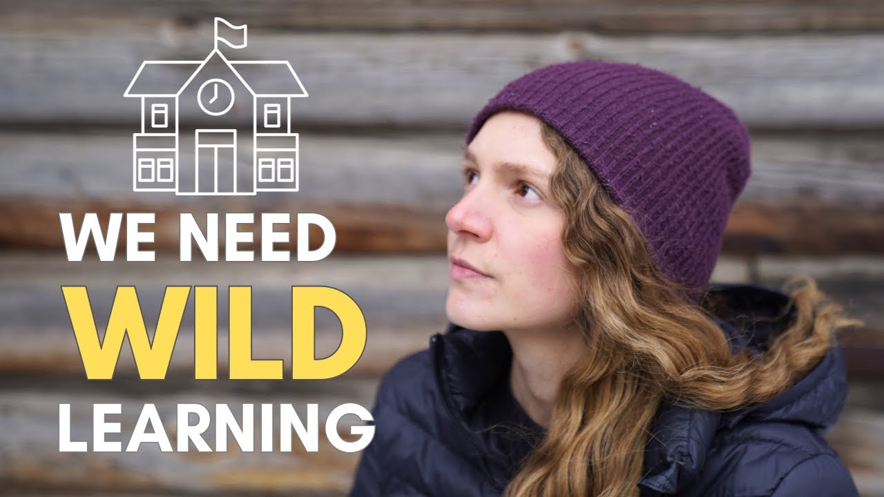 Why we need to REWILD public education