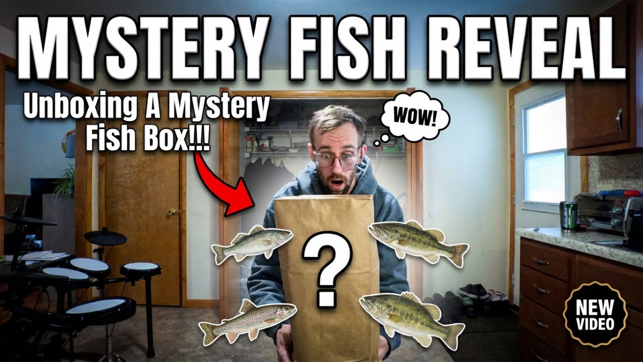 Unboxing the Most Chaotic Mystery Fish Box!