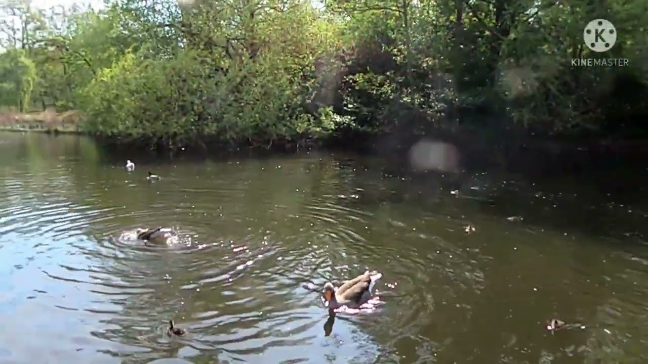 St,James's Park