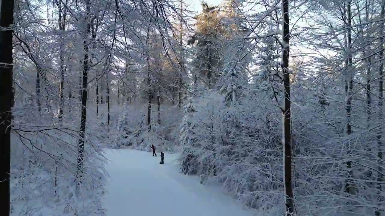 Wintersonne am Hoherodskopf – Schnee, Stille und Basalt im Vogelsberg