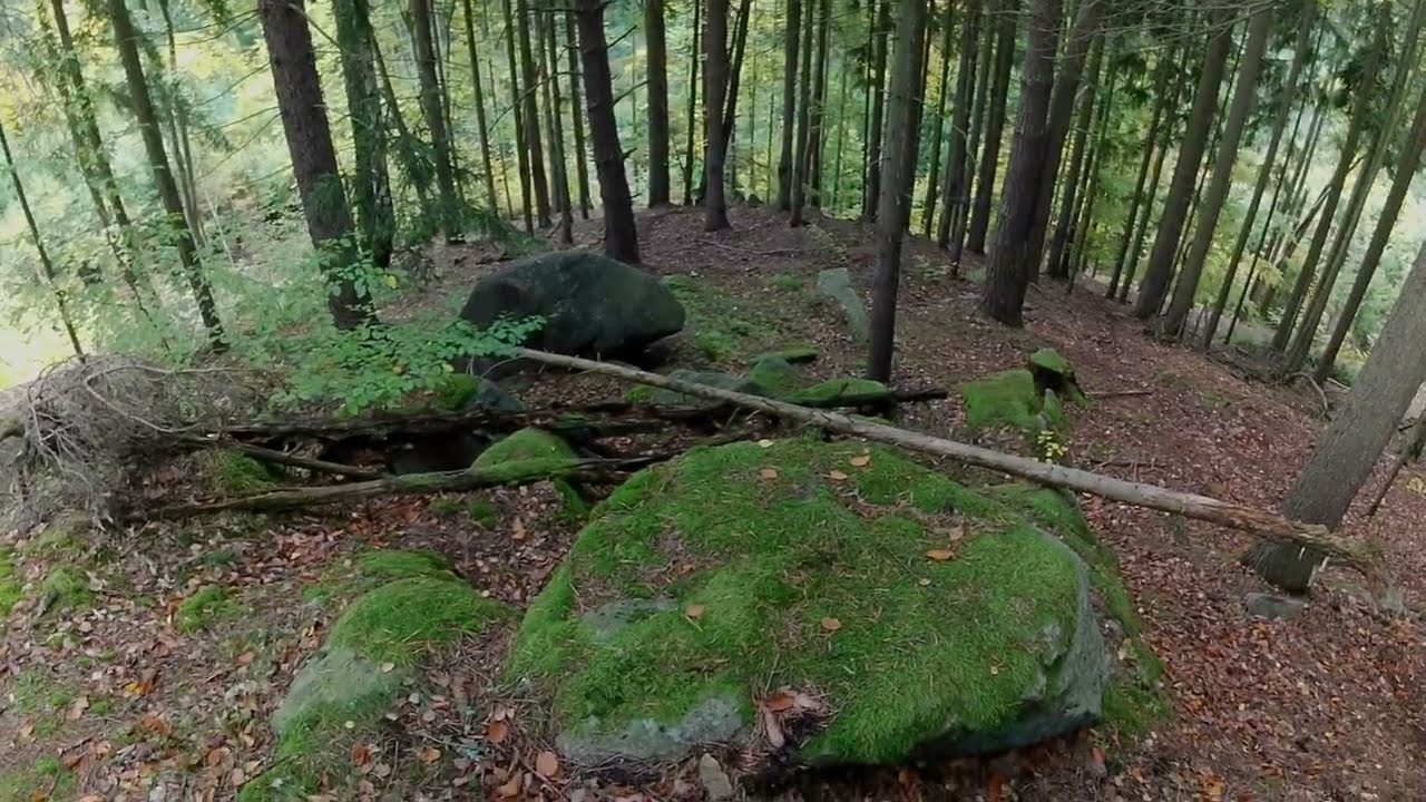 Cesta pro fotopast ...