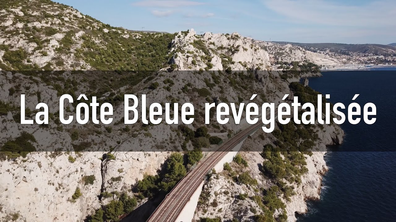 En Méditerranée, la Côte bleue en cours de revégétalisation