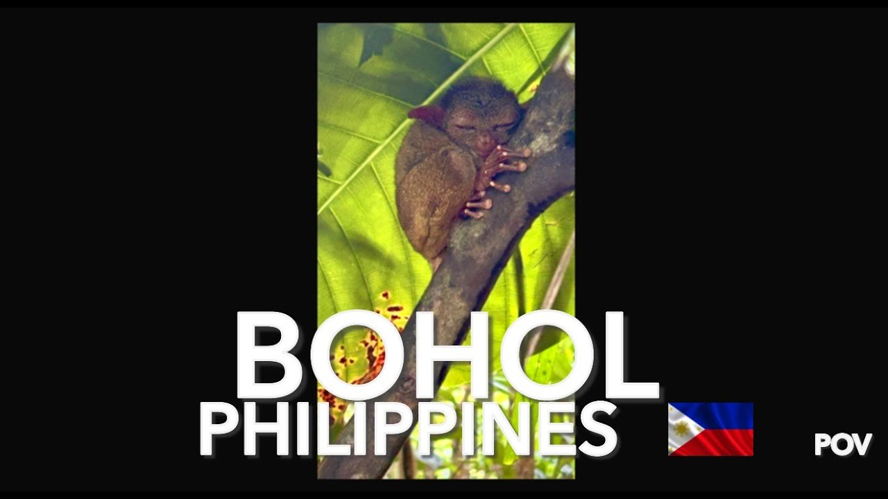 POV Visit of Bohol, Philippines – Immersive Travel Vlog