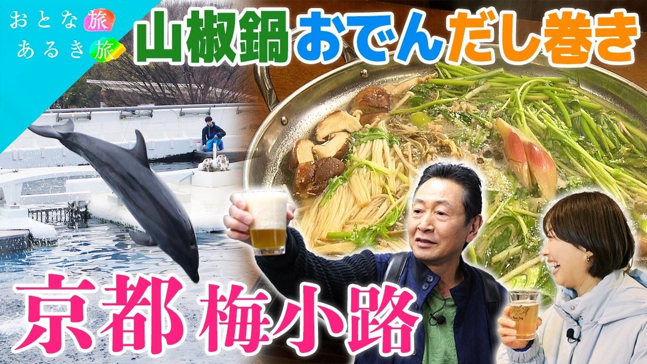 【春風薫る🌸京都・梅小路】古都の風に誘われ至福の酒と美味いもん　激安まぐろ丼～おでん～京山椒なべ～京都水族館　#おとな旅あるき旅    #traveljapan     #三田村邦彦 　#小塚舞子