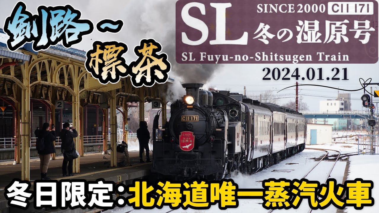 必搭一年只開2個月蒸氣列車！【超難訂位】SL冬季濕原號🚂釧路⇄標茶全攻略～復古蒸汽火車看釧路濕原丹頂鶴蝦夷鹿🦢🦌SL冬の湿原号C11171撮影【北海道自由行2024】｜日本4K VLOG