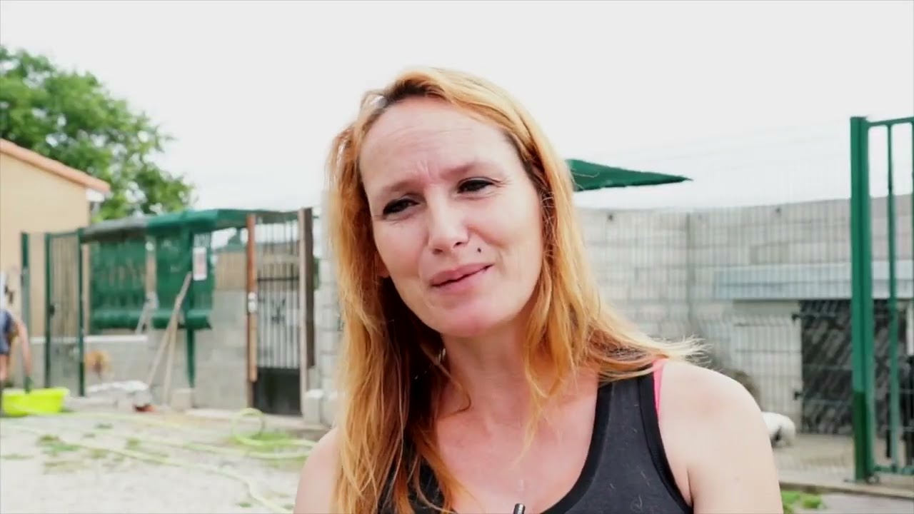 Plongée dans les coulisses du Refuge Agir pour les Animaux, Catelginest 31, le 13.08.2016