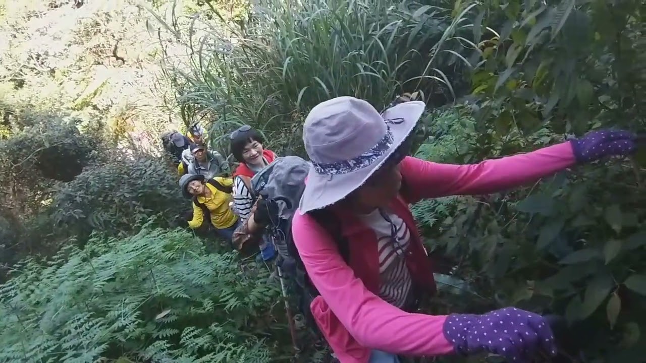 宜蘭登山協會滴水山/粗坑口步道