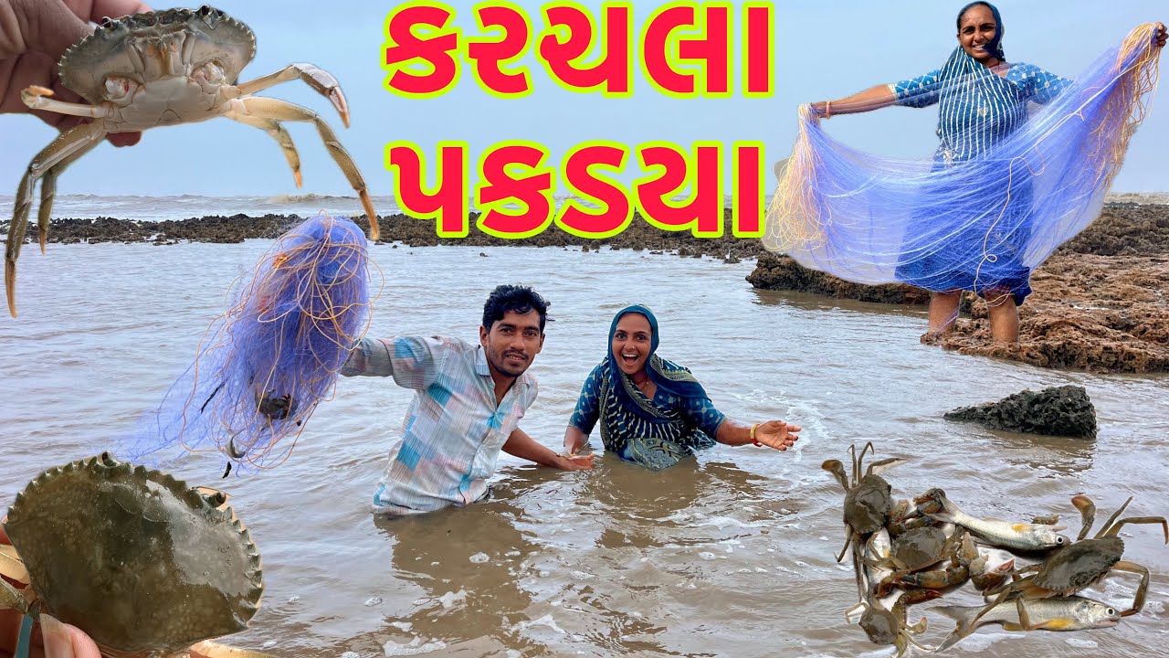 ચોરાયે કરચલા પકડયા 🦀 crab fishing 🎣dariyai khedut @desirasoikathiyawadi