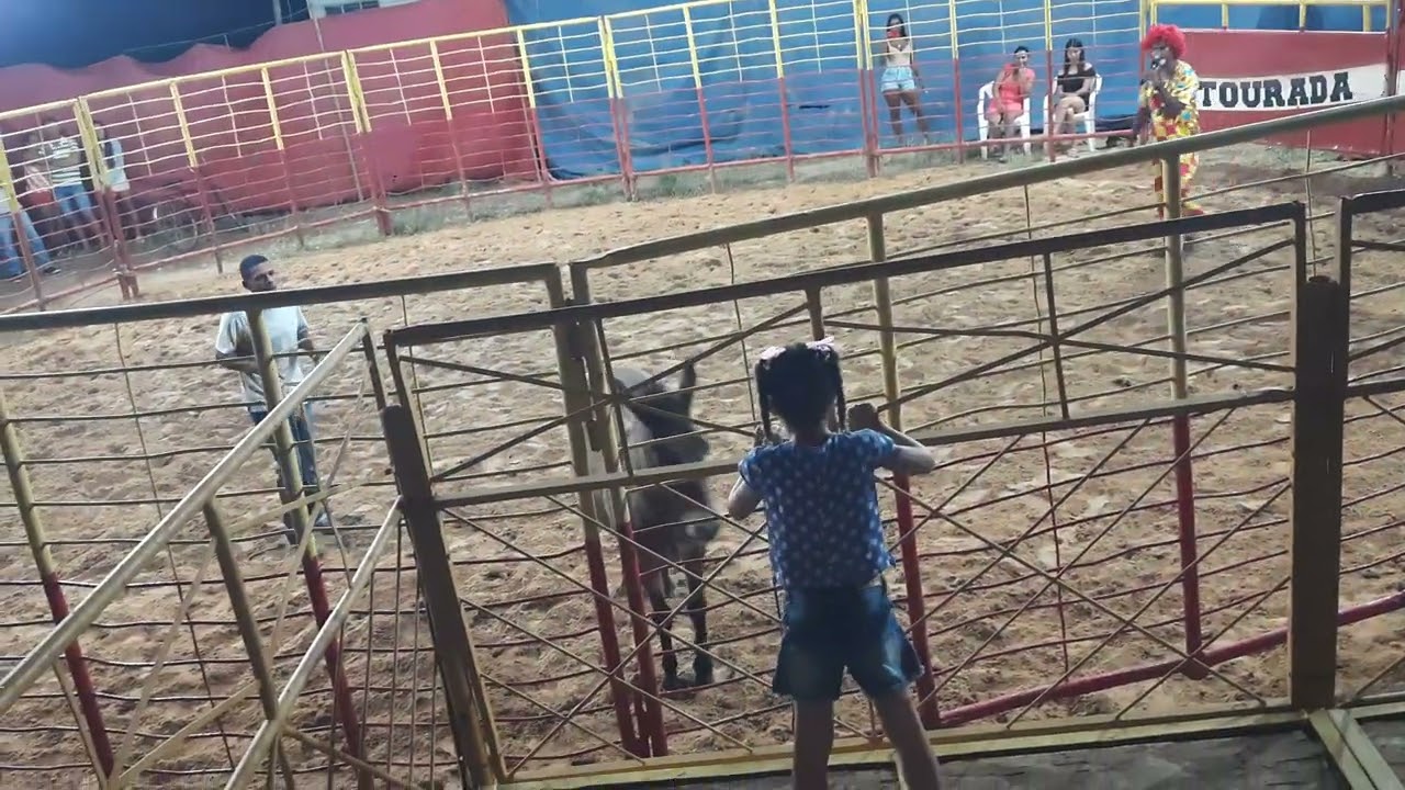 Circo de tourada nego estrada 💥