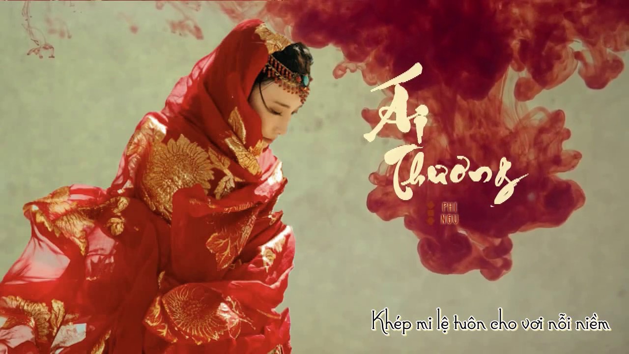 [Cover Lời việt] Ái Thương - Phi Ngư l 爱殇 - 董貞