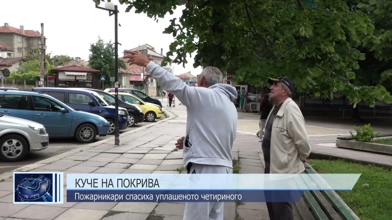 Спасиха куче в Нови пазар