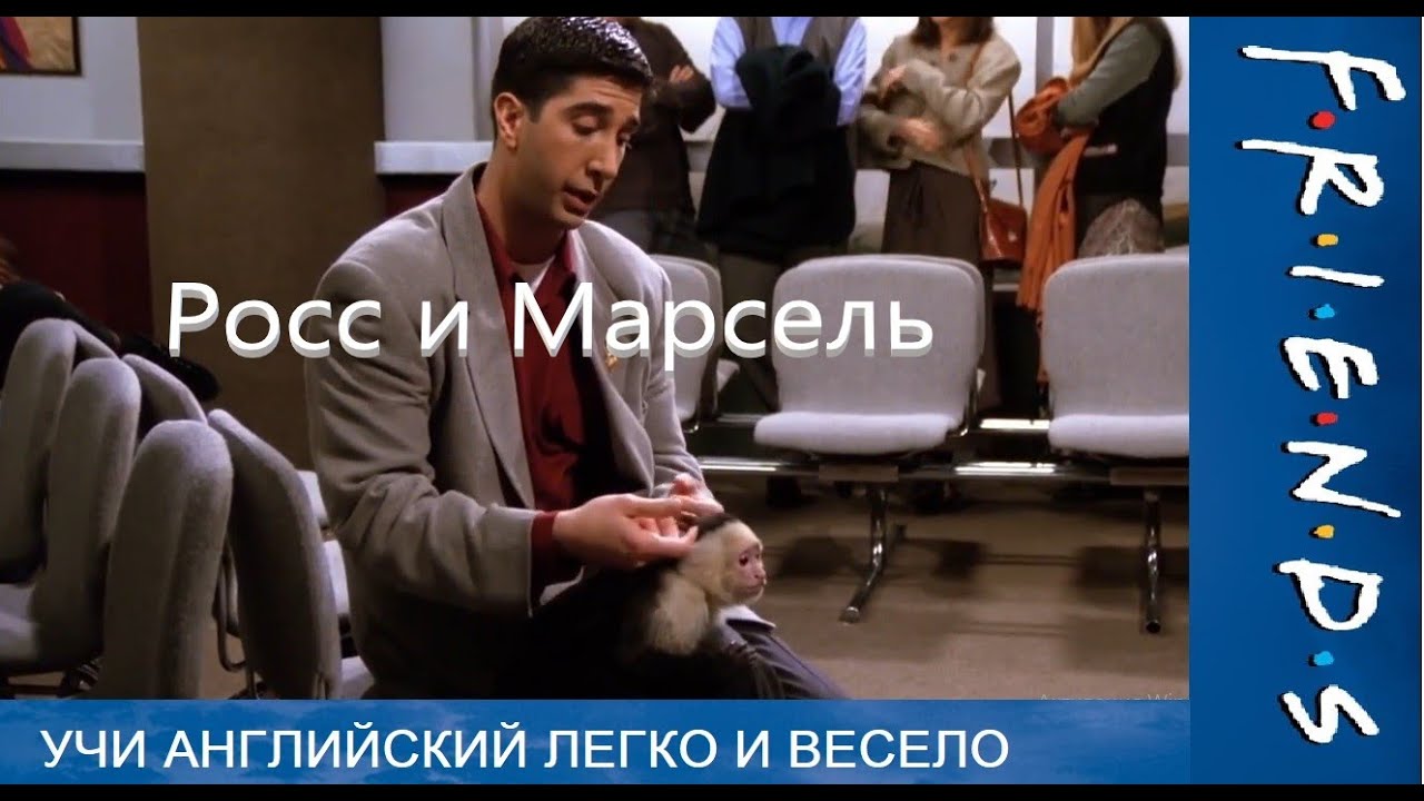 Английский язык с сериалом FRIENDS (Друзья). Росс прощается с Марселем.