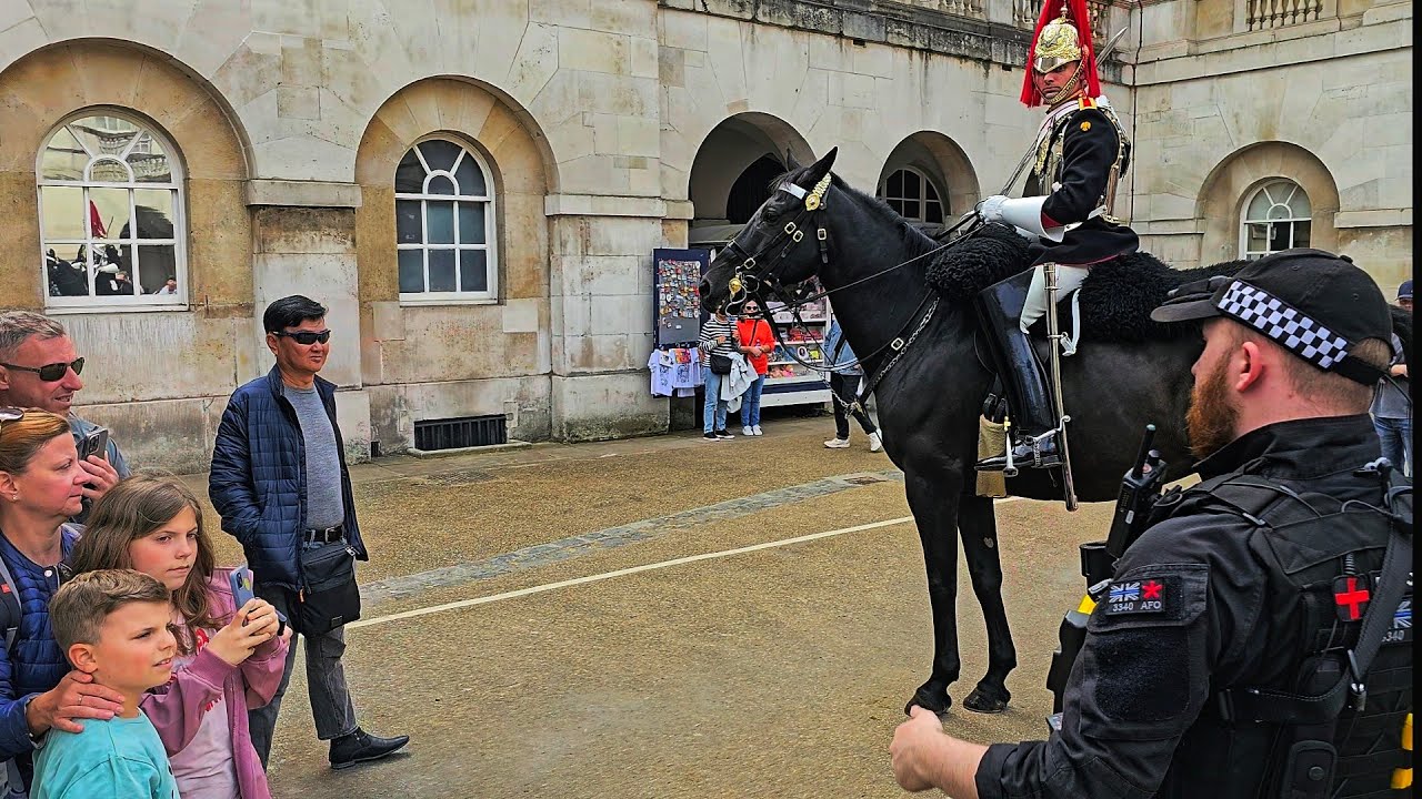 HORSE QUITS THREE TIMES as IDIOT TOURISTS just stand and stare at Police at Horse Guards!