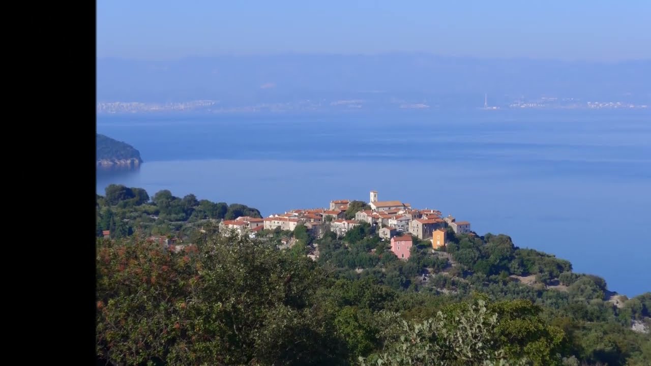beli caisole - cres