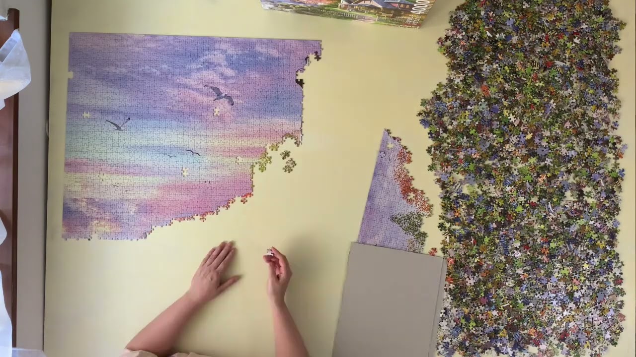 Full Time-lapse:  Educa 