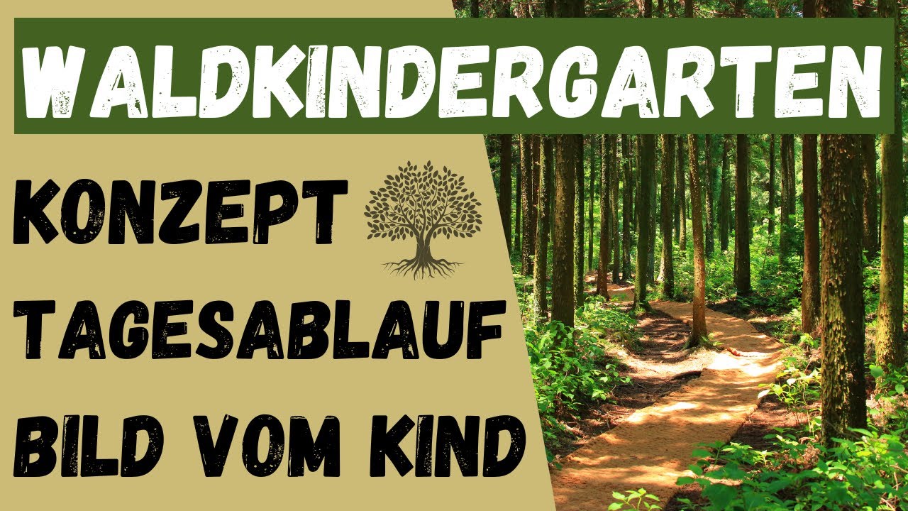 WALDKINDERGARTEN - Was ist das? Naturpädagogik und Waldpädagogik | ERZIEHERKANAL