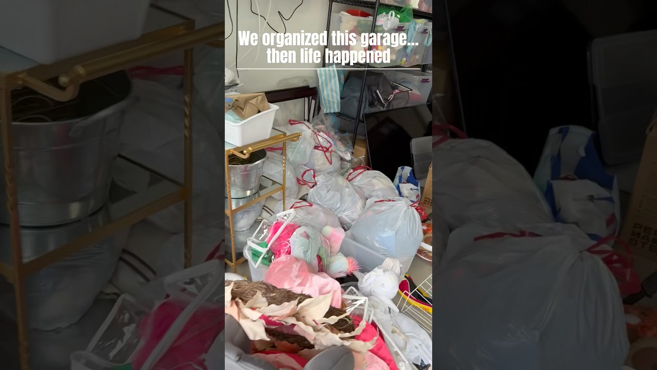 We Organized This Garage&hellip;Then Life Happened #declutter #homeorganization #garageorganization