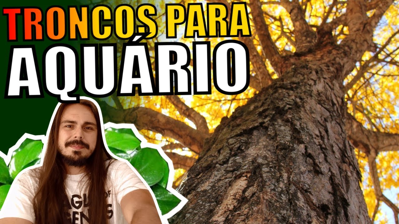 🔴TOP 5 TRONCOS PARA AQUÁRIOS |Mr. Betta|