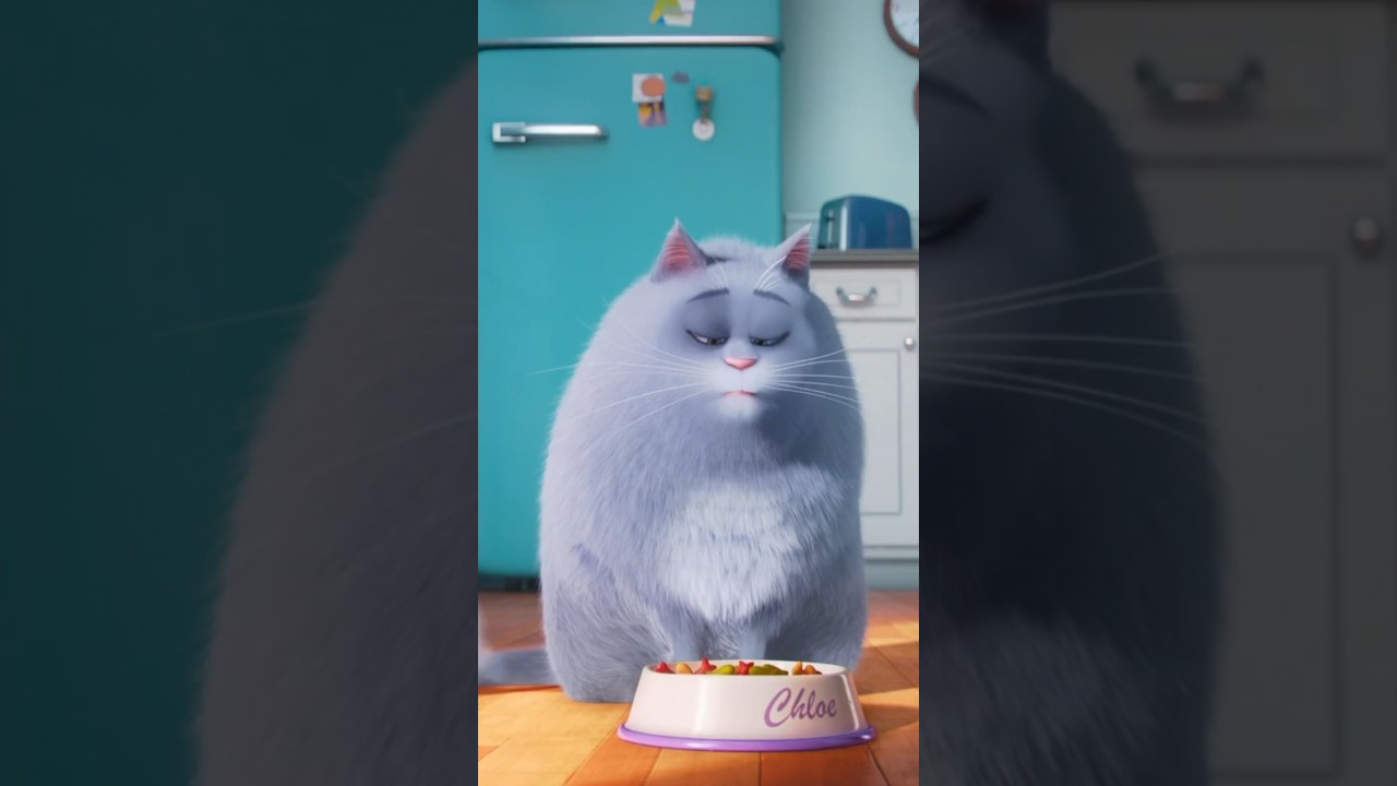 Thanks, I hate it | 🎬 The Secret Life of Pets (2016)