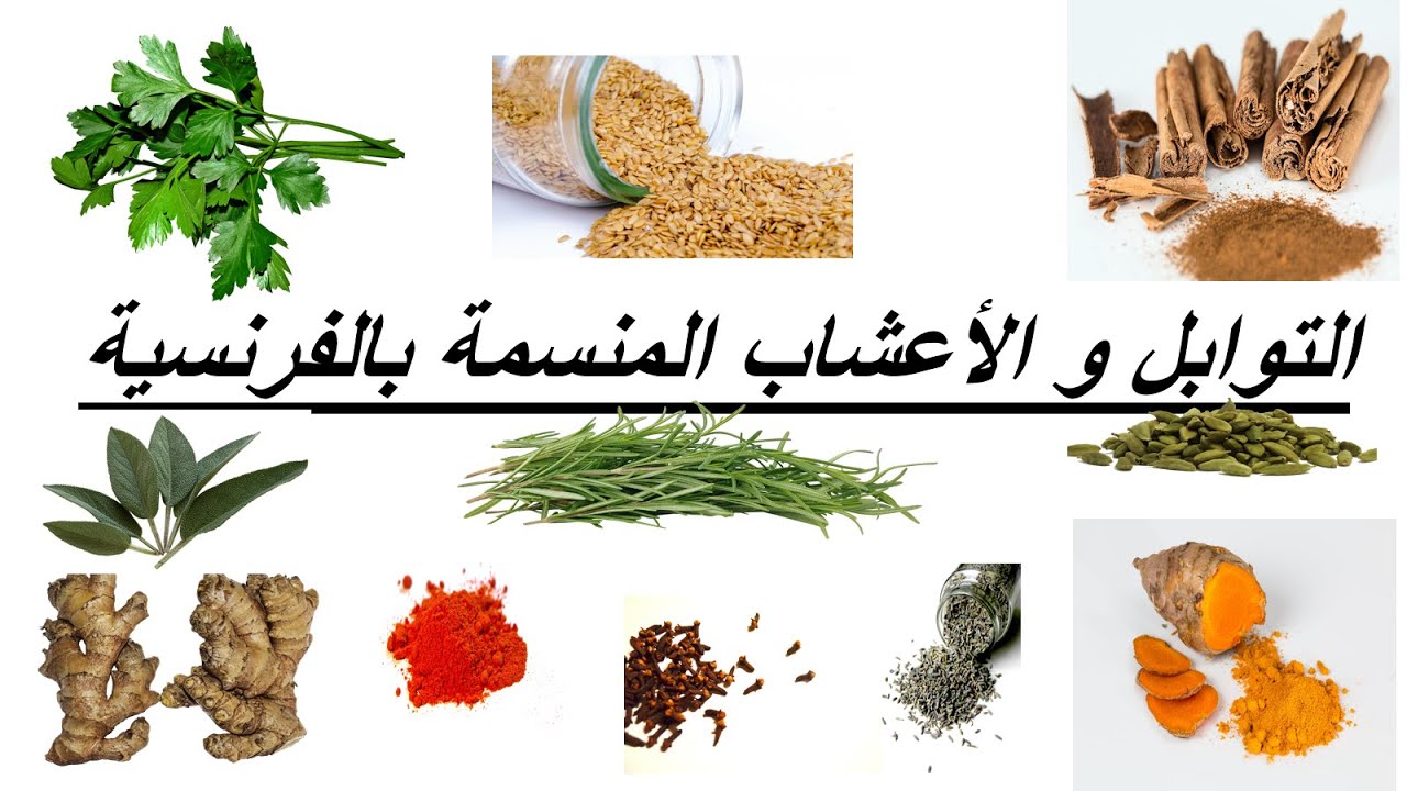 التوابل والأعشاب بالفرنسية--تعلم الفرنسية