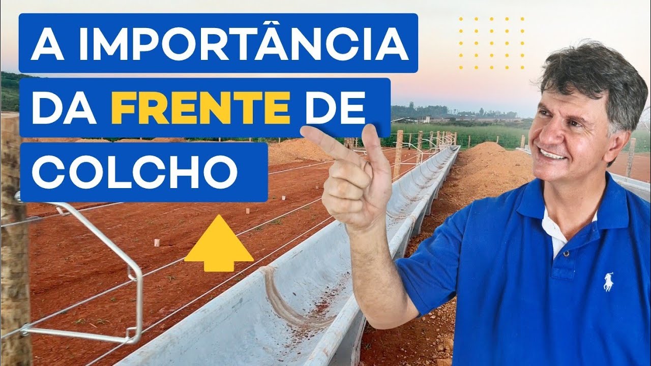 VOCÊ SABE A IMPORTÂNCIA DA FRENTE DE COLCHO PARA OS ANIMAIS?