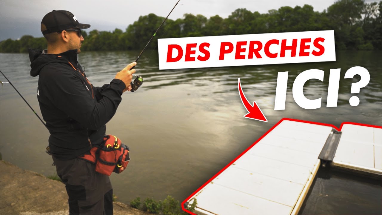 Une soirée STREET FISHING à la recherche des perches !