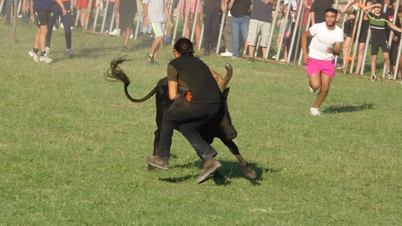 ST JEAN DE SERRES BANDIDO DE 10 TAUREAUX 24/06/2023