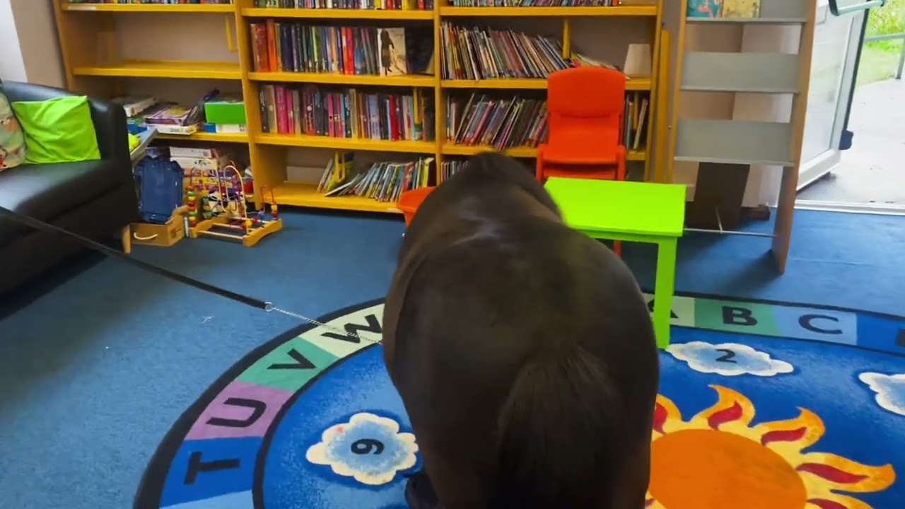 Churston Library July 2024