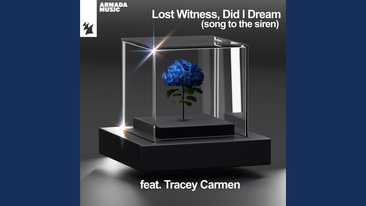 Did I Dream (Song To The Siren)
