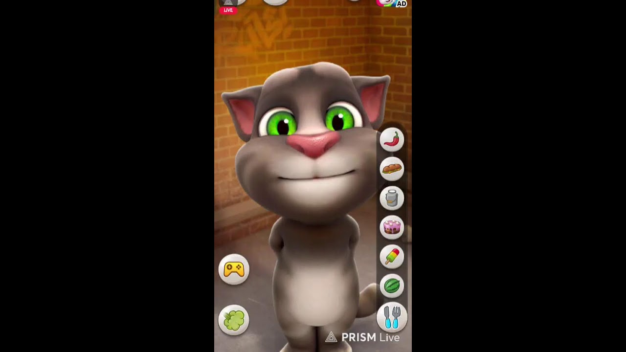 talking tom game