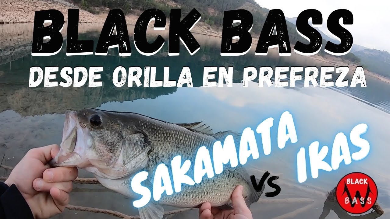 BLACK BASS DESDE ORILLA EN PREFREZA. IKAS Y SAKAMATA