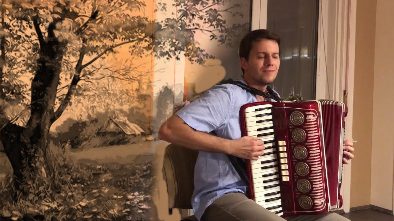 Старый клён, аккордеон | The old maple, accordion