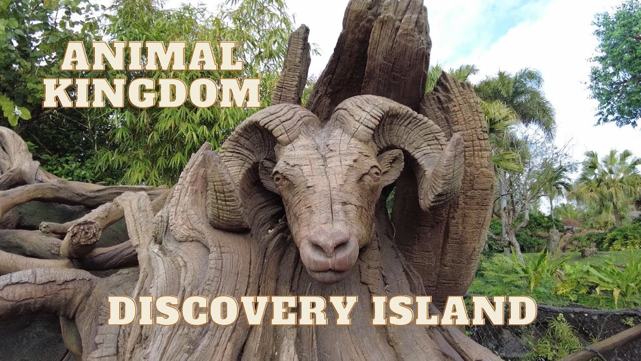 Animal Kingdom | Discovery Island