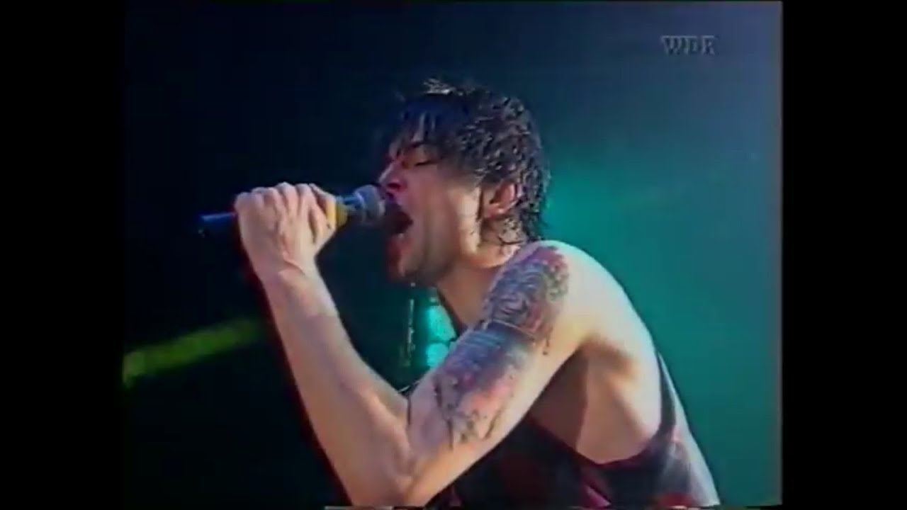 Die Toten Hosen '93 - Willkommen in Deutschland