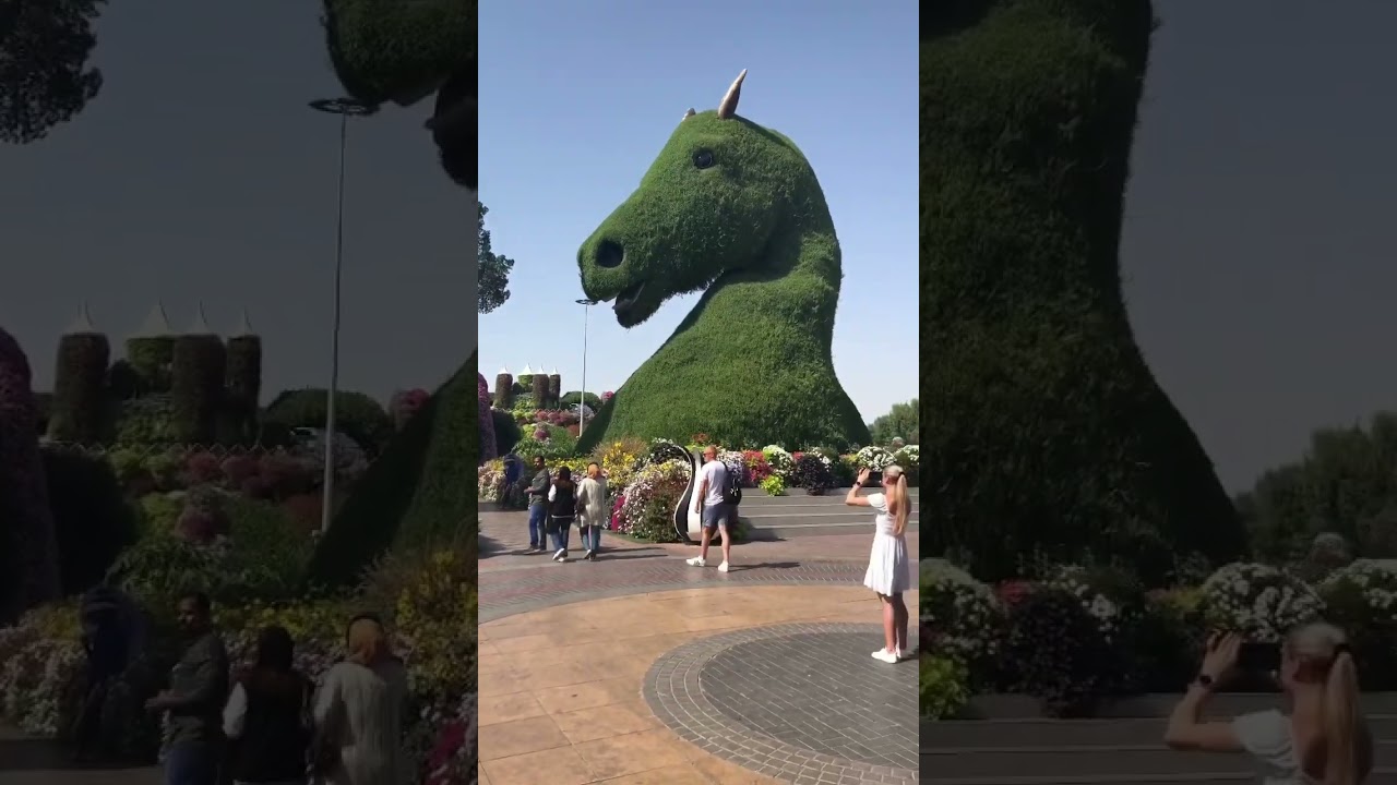 The Beauty of Miracle Garden #foodandtravel #1million #shorts