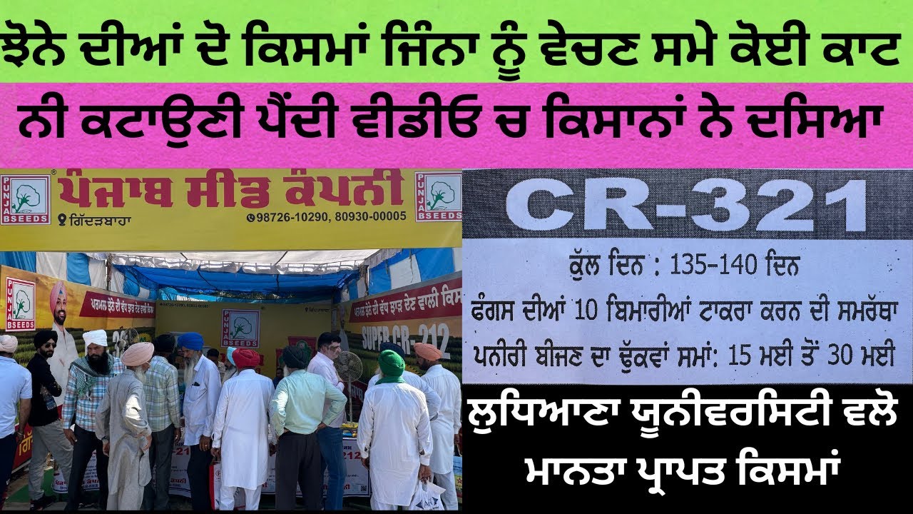 ਝੋਨੇ ਦੀਆਂ ਕਿਸਮਾਂ ਨਾ ਮੰਡੀ ਚ ਰੁਲਣ ਝਾੜ ਵੀ ਜ਼ਿਆਦਾ ਅਤੇ ਰੇਟ ਵੀ ਚੰਗਾ ਮਿਲਦਾ ਵਪਾਰੀ ਕੋਲੋਂCR-321 & SUPER CR-212