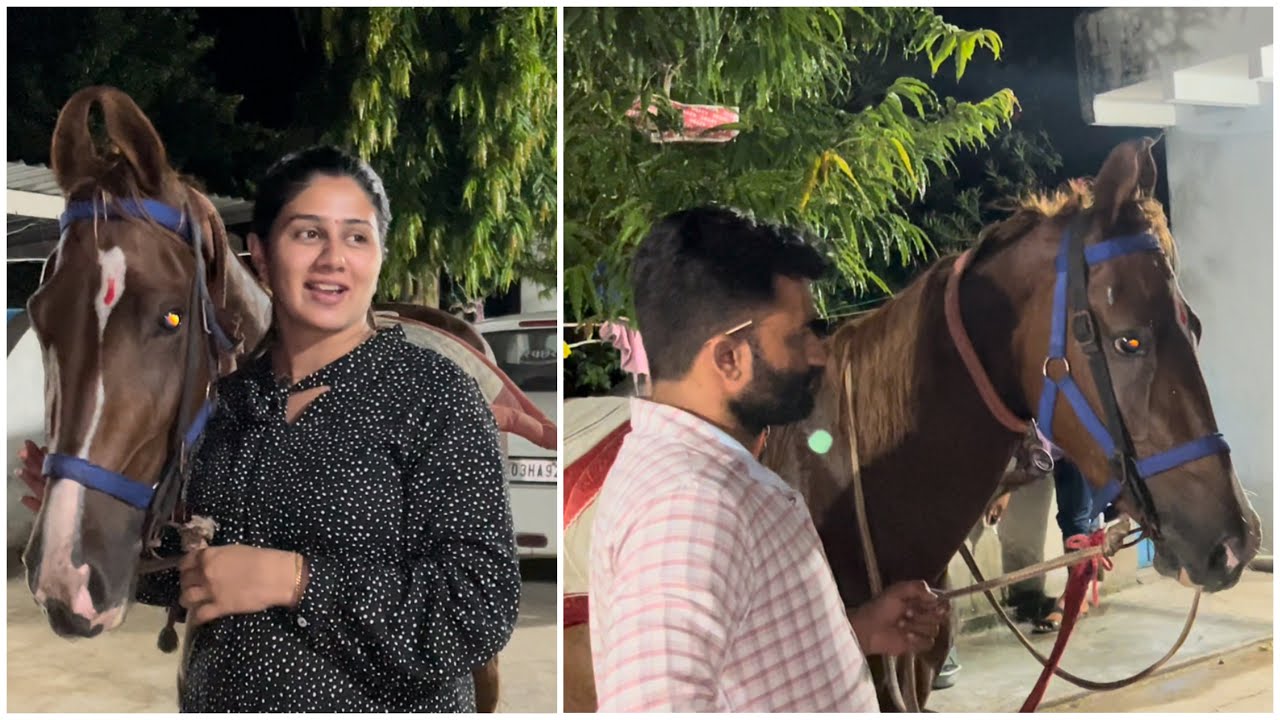 Hamari new horse aa gae…kal raat ko