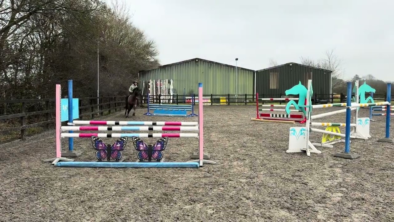 🎤 Elvis Presley 🎤  jump video 