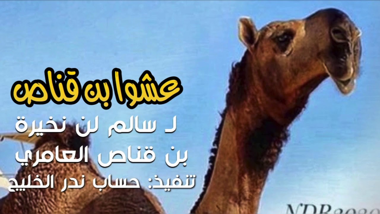 شـيلة الموسم⚔️عـــشـــواء بــن قـناص⚔️2021