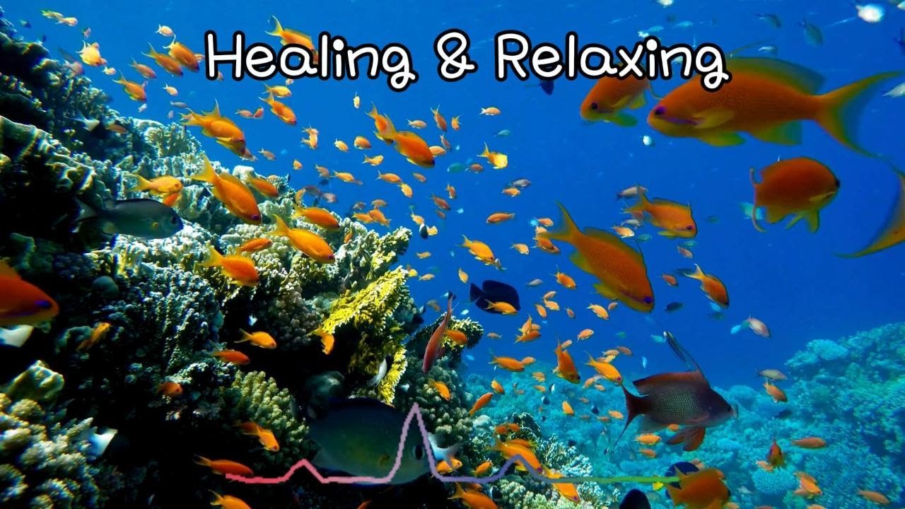 Healing & Relaxing Sound, #healing #healingsounds #relaxing #relaxingmusic #vacation #외로울때 #cafe