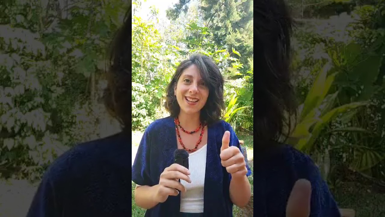 Kendini Gerçekleştirmenin 4 Ana Sütunu & Kendine Dön'üşüm Okulu