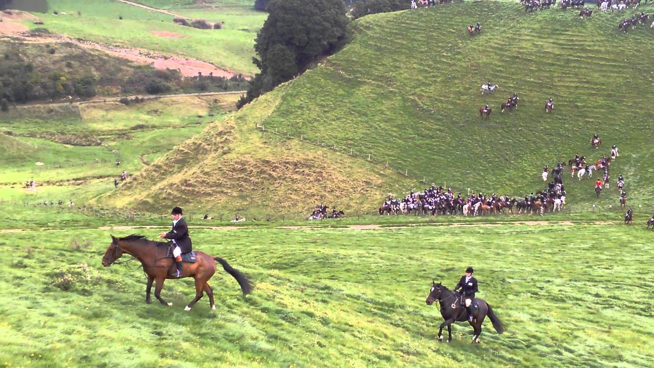 Small hunt field of 420 horses NZ