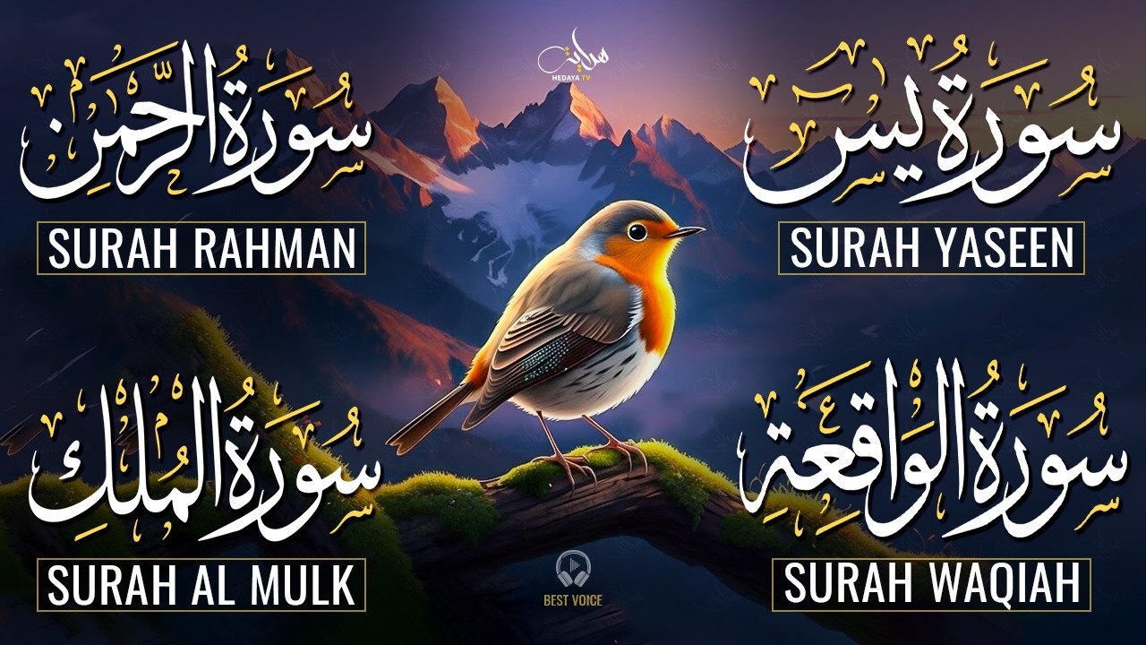 The Best Recitation Surah Yaseen (Yasin) | Surah Rahman | Surah Waqiah | Surah Mulk