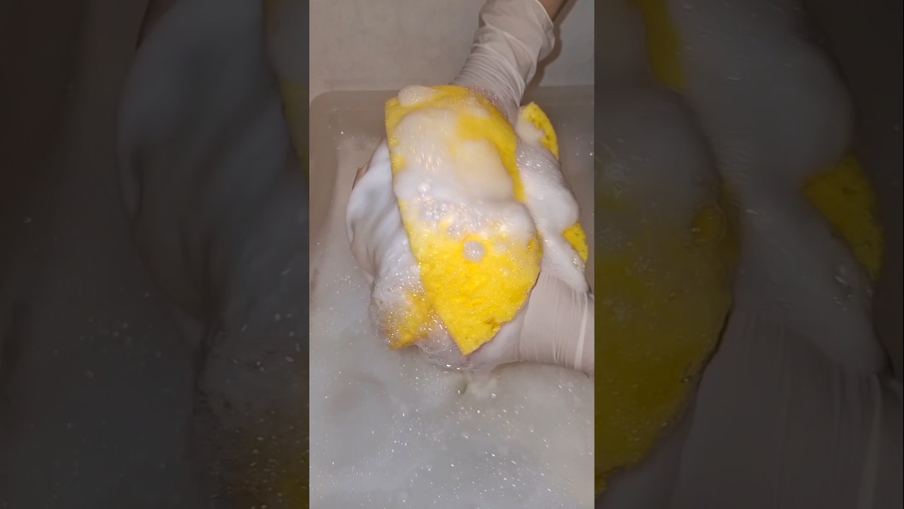 ASMR Sponge squeezing. Full video 🔝 Fav sponge week 6/7 Stacked bleachy squeezes 🤍💛🤍💛